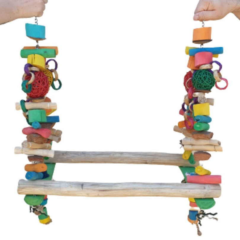 Mega Parrot Swing and Play