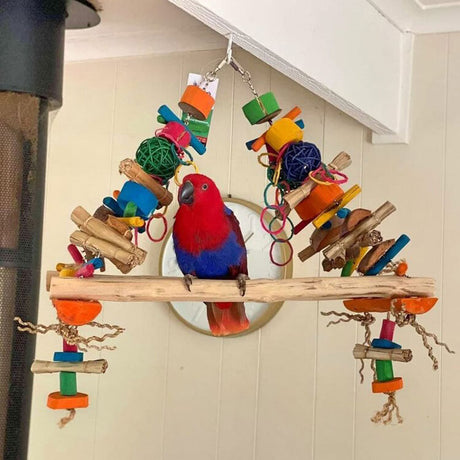 Mega Parrot Swing and Play