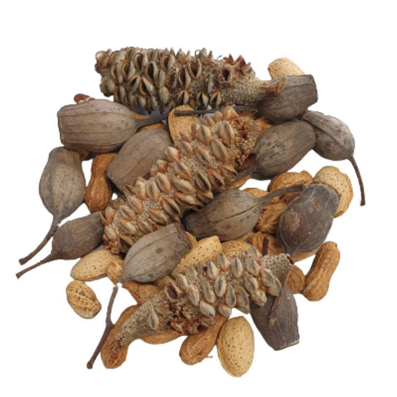 Natural Foraging Material