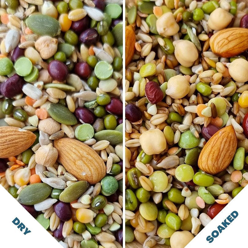 Raw for Birds Chunky Soaking Blend