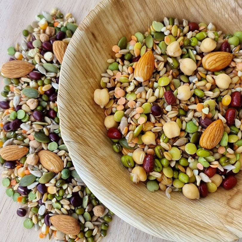 Raw for Birds Chunky Soaking Blend