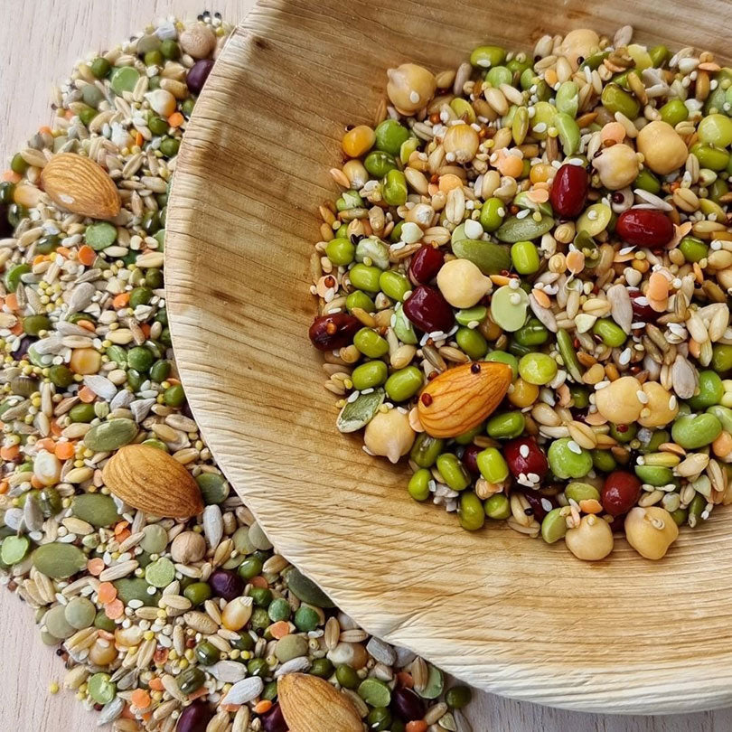 Raw for Birds Flock Soaking Blend