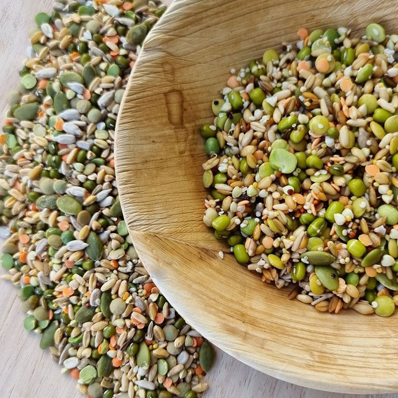 Raw for Birds Petite Soaking Blend