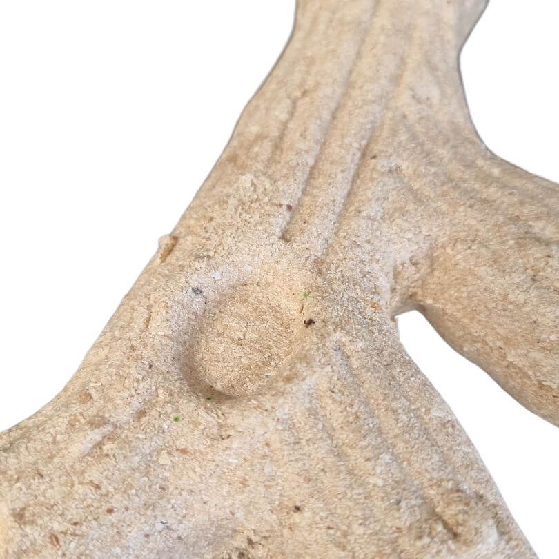 Rosewood Edible Parrot Perch