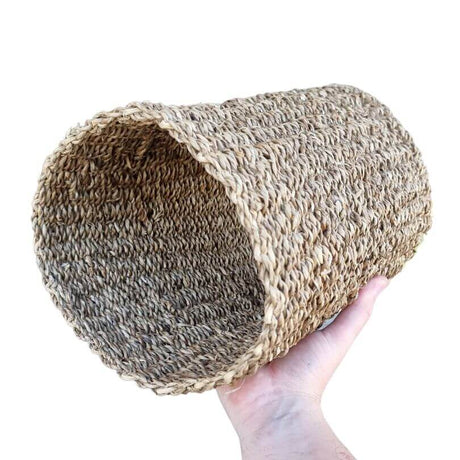 Seagrass Tunnel