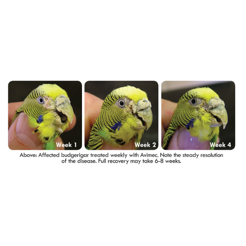 Vetafarm Avimec 50ml