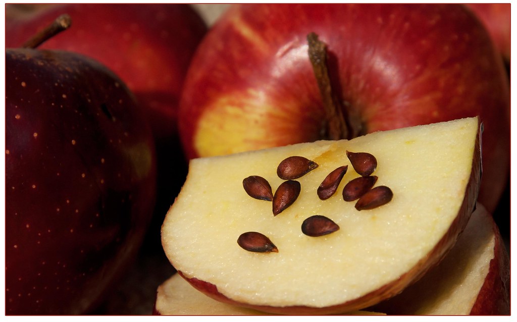 Apple seeds