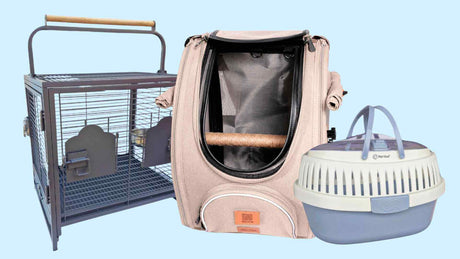 Bird carriers and travel backpacks for taking your bird to the vet or on outings