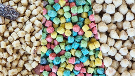 natural and multi coloured bird pellets