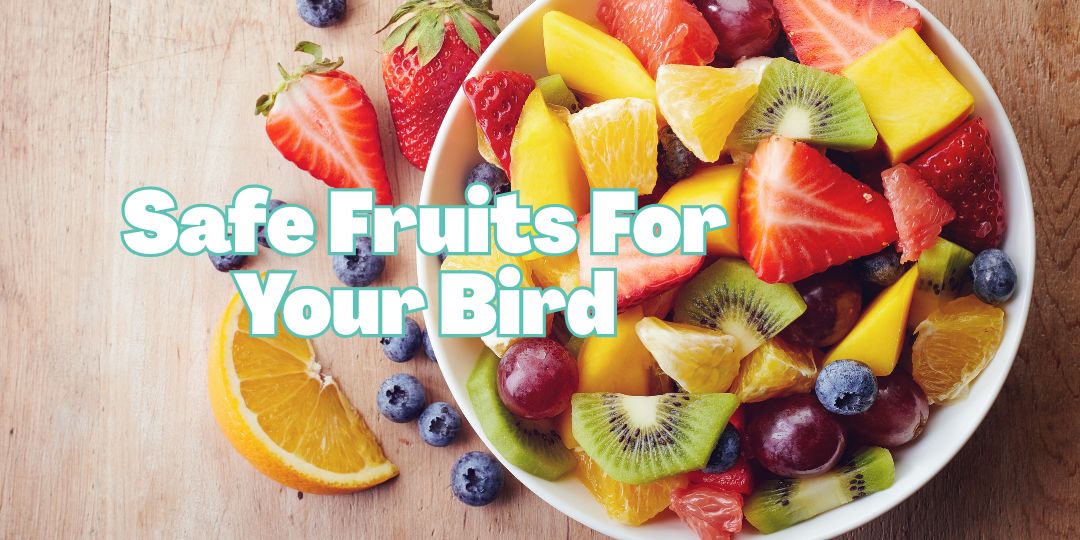 Fresh fruit that is safe for birds