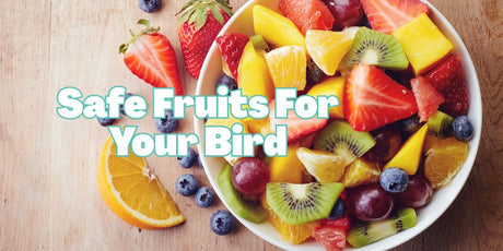 Fresh fruit that is safe for birds