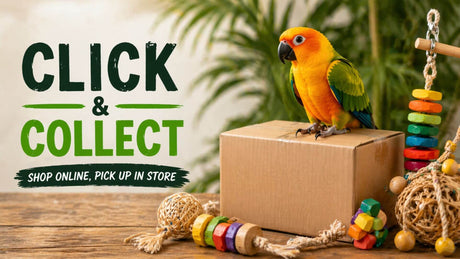 Faster Bird Supplies with Click and Collect