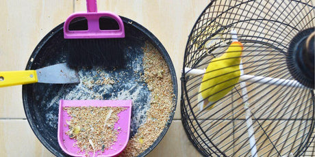 Bird cage