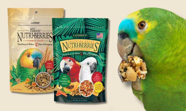 Lafeber Nutri-Berries seed balls for parrots