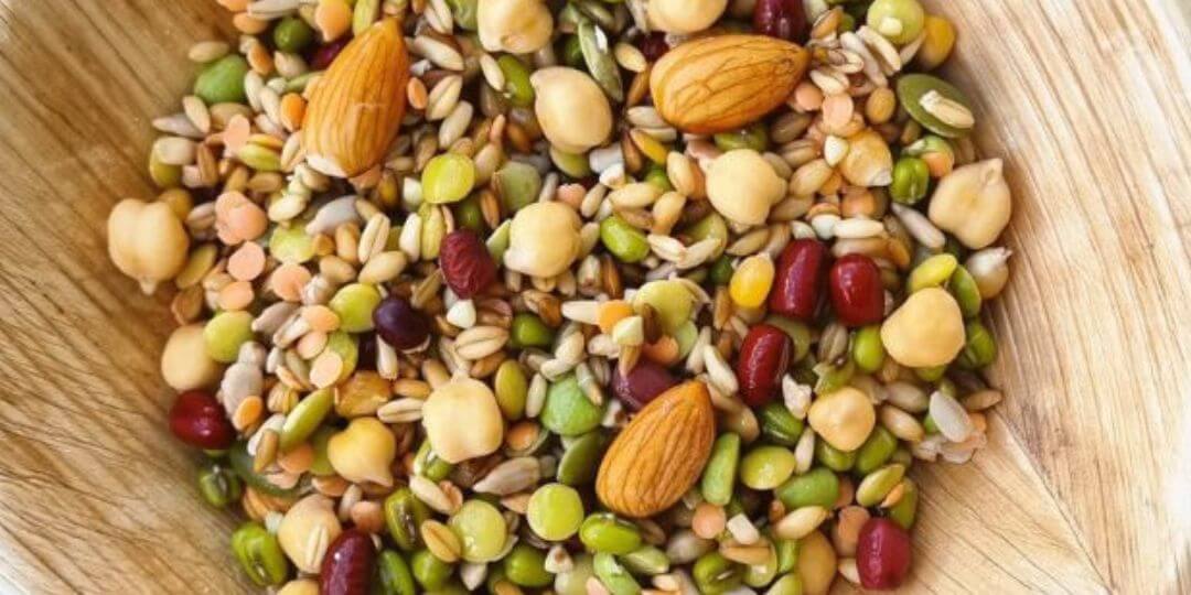 Soaking blend for birds in a bowl of water