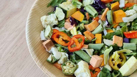 Freeze-Dried Food for Birds: The Complete Guide