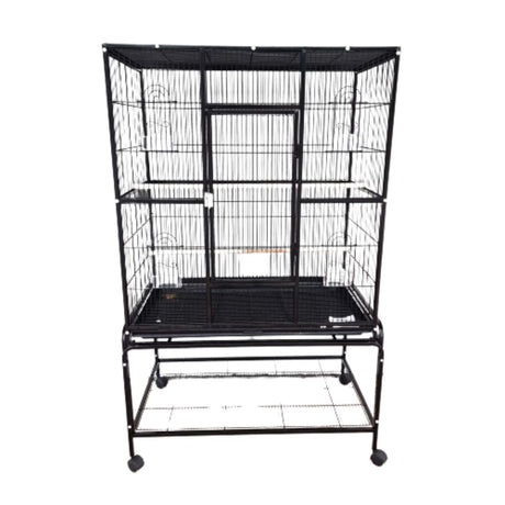 Bird Cages