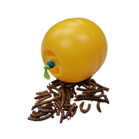 Chicken Toys