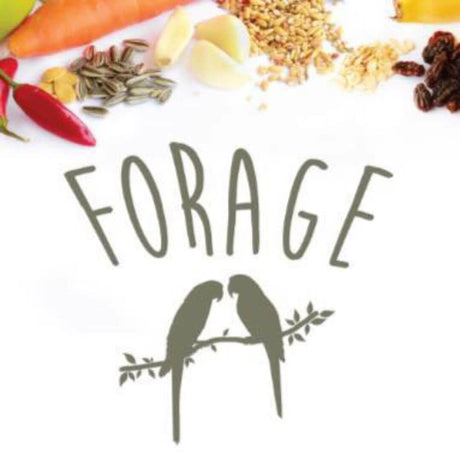 Forage Gourmet Seed