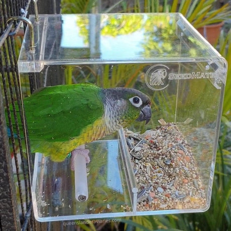 Conure eating from a Seedmate No Mess Feeder