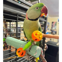 Thumbnail for Superbird Birdie Barbell Foot Toy