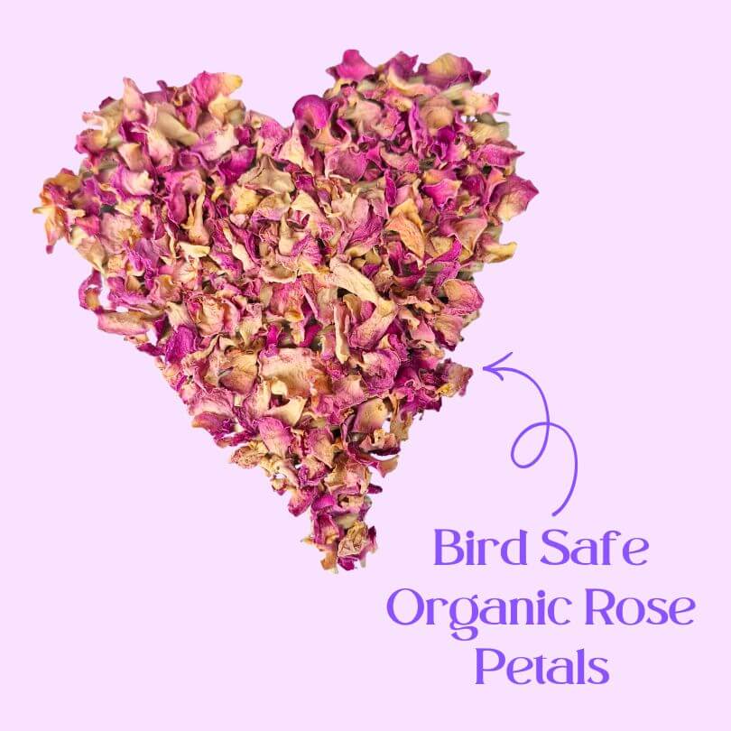 Valentines Foraging Box