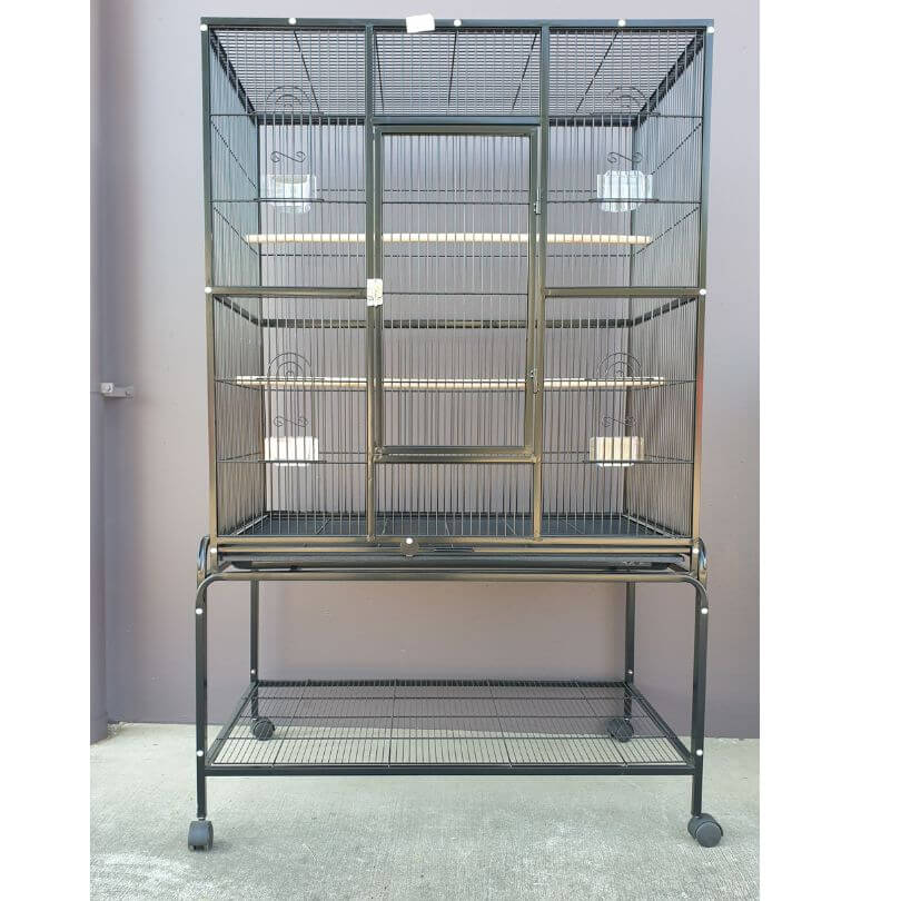 Bird Cage 605