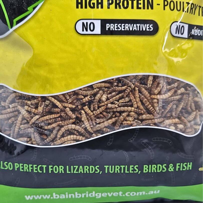 Bainbridge Dried Mealworms