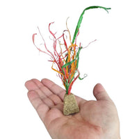 Thumbnail for Alfalfa Sprout Foot Toys 2pk