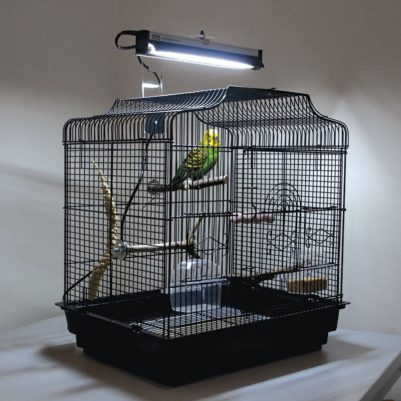 Arcadia PureSun Mini Bird Light Kit