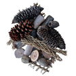 Large Aussie Natural Foraging Material pack with pinecone, Banksia pods, Gumnuts, seagrass and wood pieces