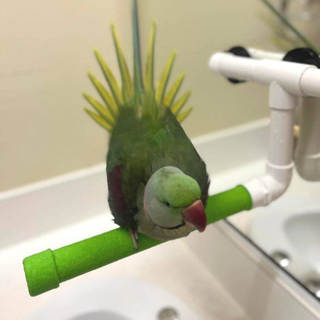 Avi-One Shower Perch