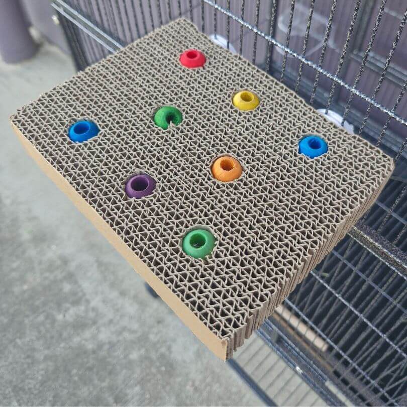 Avian Care Cardboard Platform