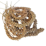 Avione Mixed Millet Sprays
