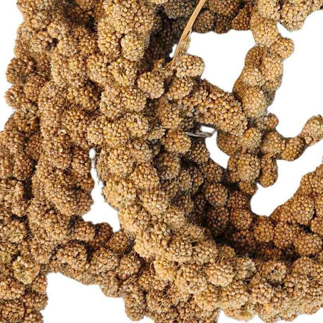 Avione Panorama Millet Sprays