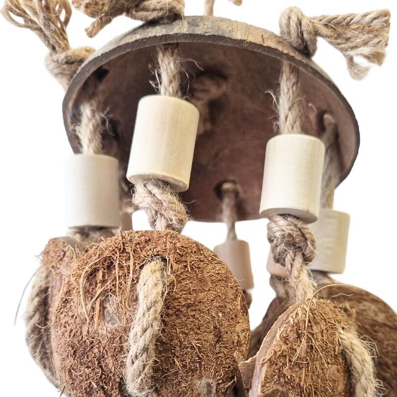 Eco Tropical Treasure Chew