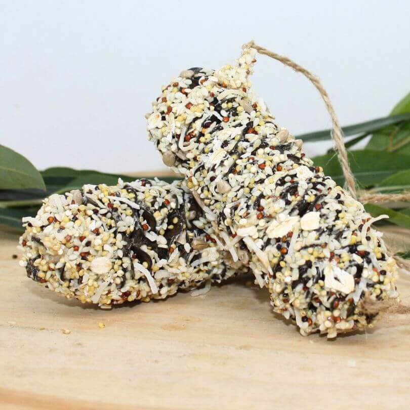 Raw for Birds Banksia Nibbles 2pk