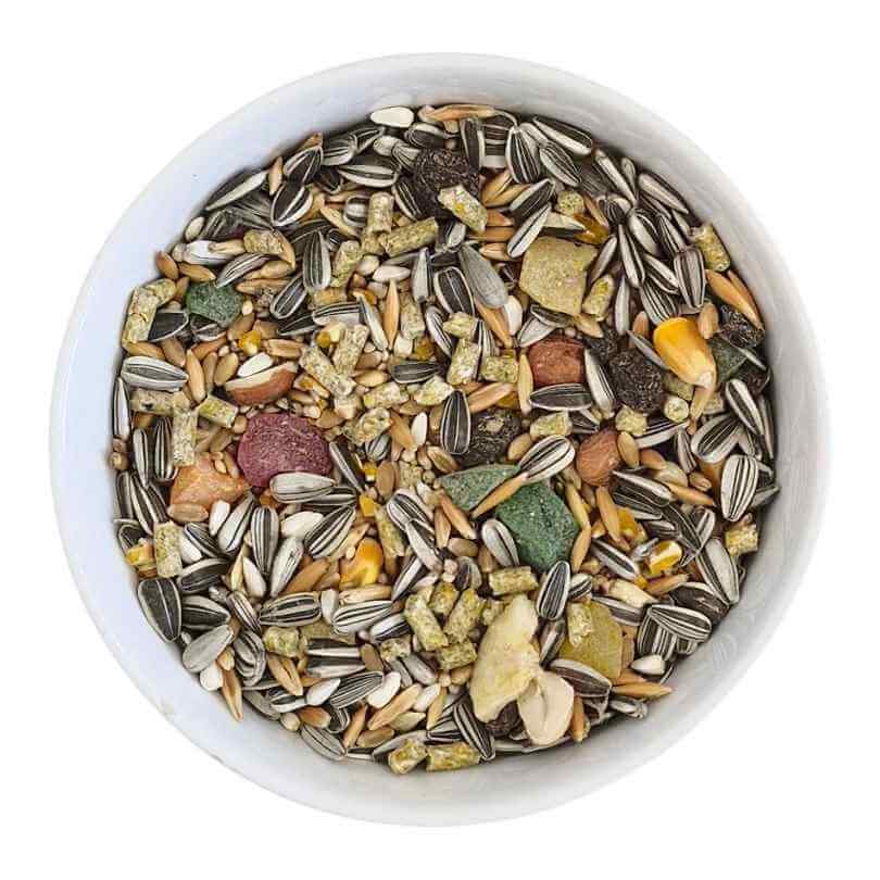 Basic Parrot Seed Blend 1kg