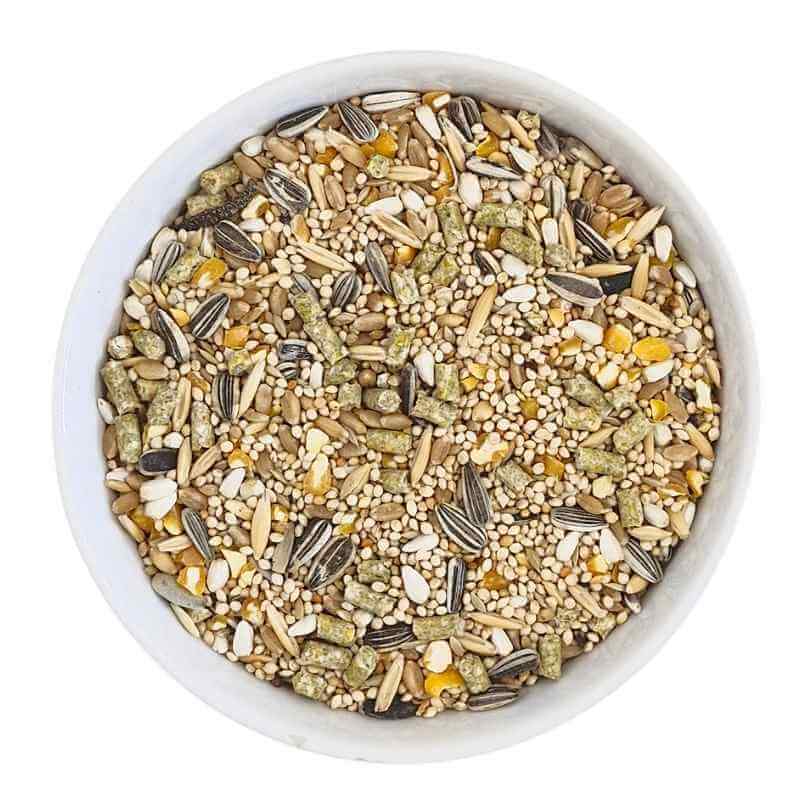 Basic Small Parrot Seed Blend 1kg