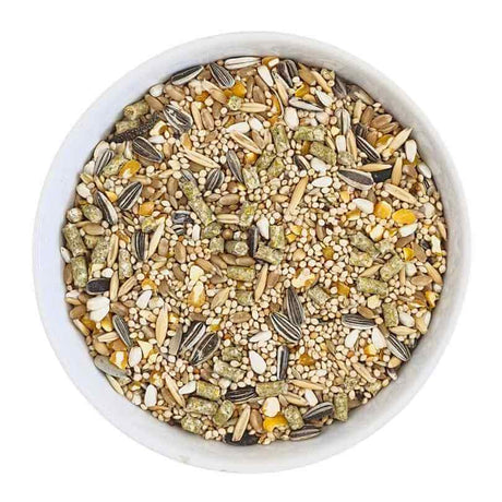 Basic Small Parrot Seed Blend 1kg