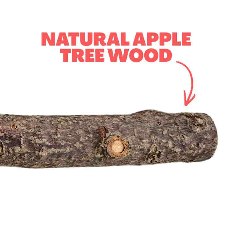 Beak Joy Natural Apple Tree Wood Perch