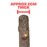 Beak Joy Natural Apple Tree Wood Perch