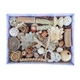 Beak Joy Peck and Play Forage Box – Large size, prefilled with natural foraging materials