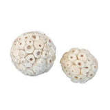 Beak Joy Sola Chew Balls 8pk
