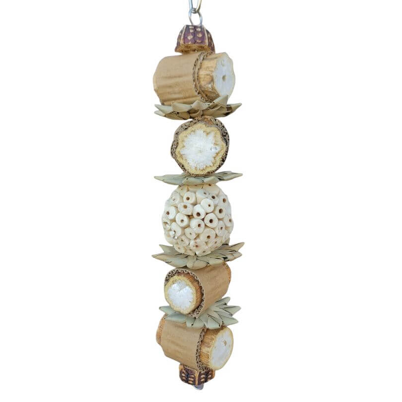 Beak Joy Woodland Nibble