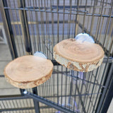 Beak Joy Apple Wood Platform Perch