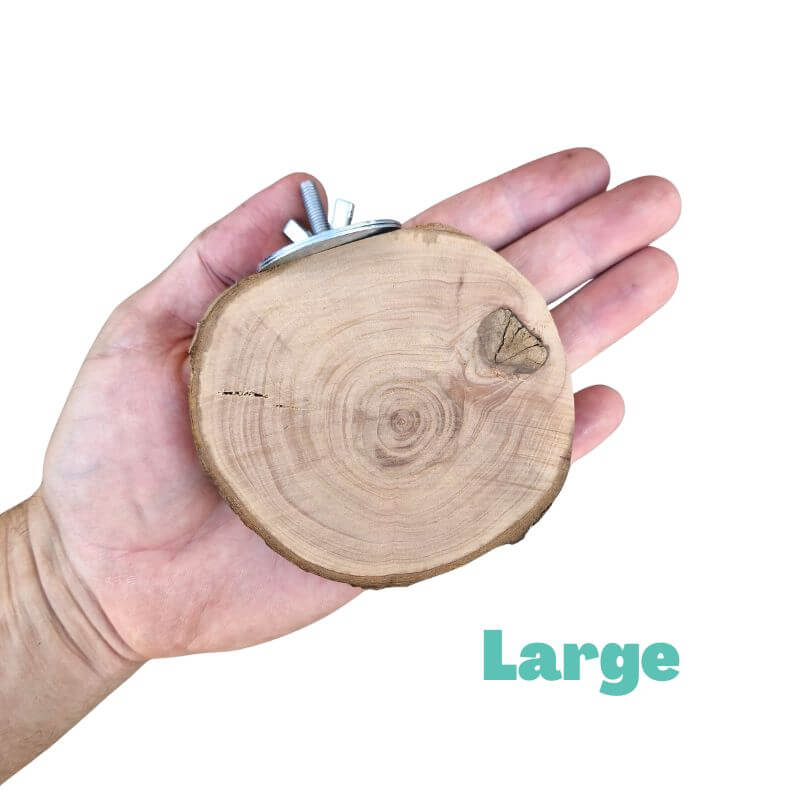 Beak Joy Apple Wood Platform Perch