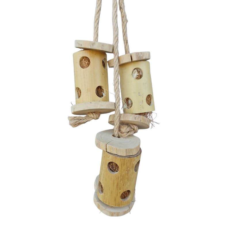 Beak Joy Bamboo Climber