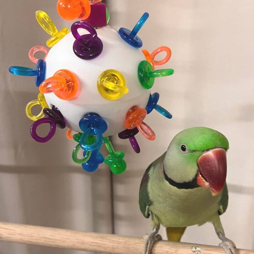 Binky Ball