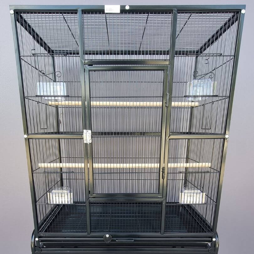 Bird Cage 604